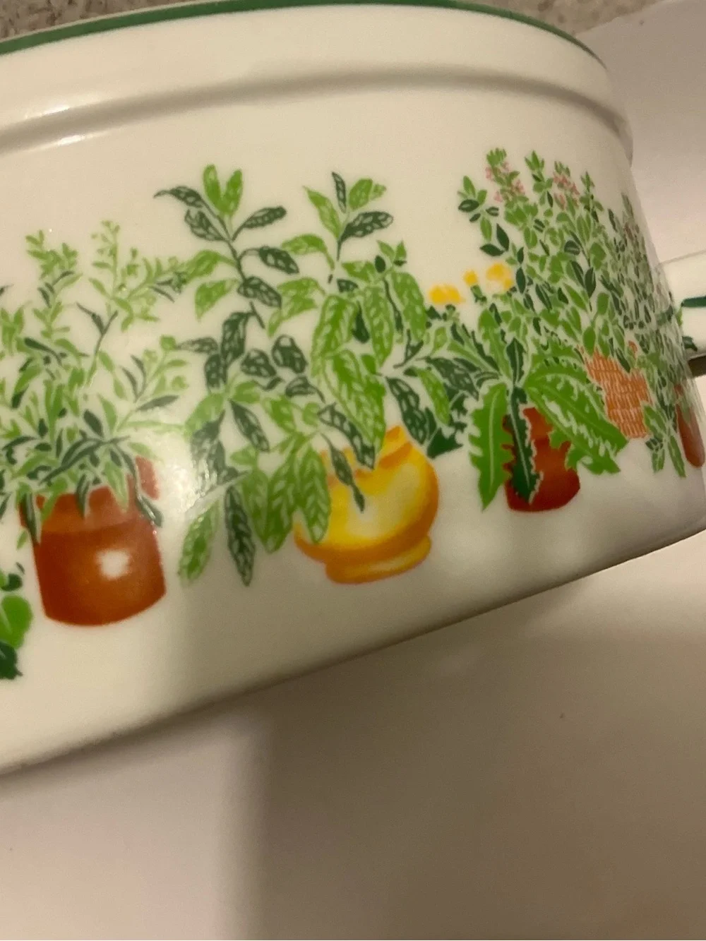 Herb-Themed Ceramic Covered Casserole Dish - White with Green Herb Motif